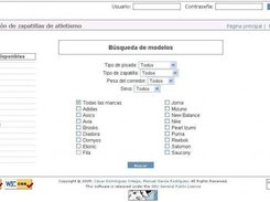 Example of a running shoes webpage