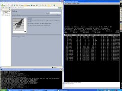 Cooperative Linux Screenshot 1