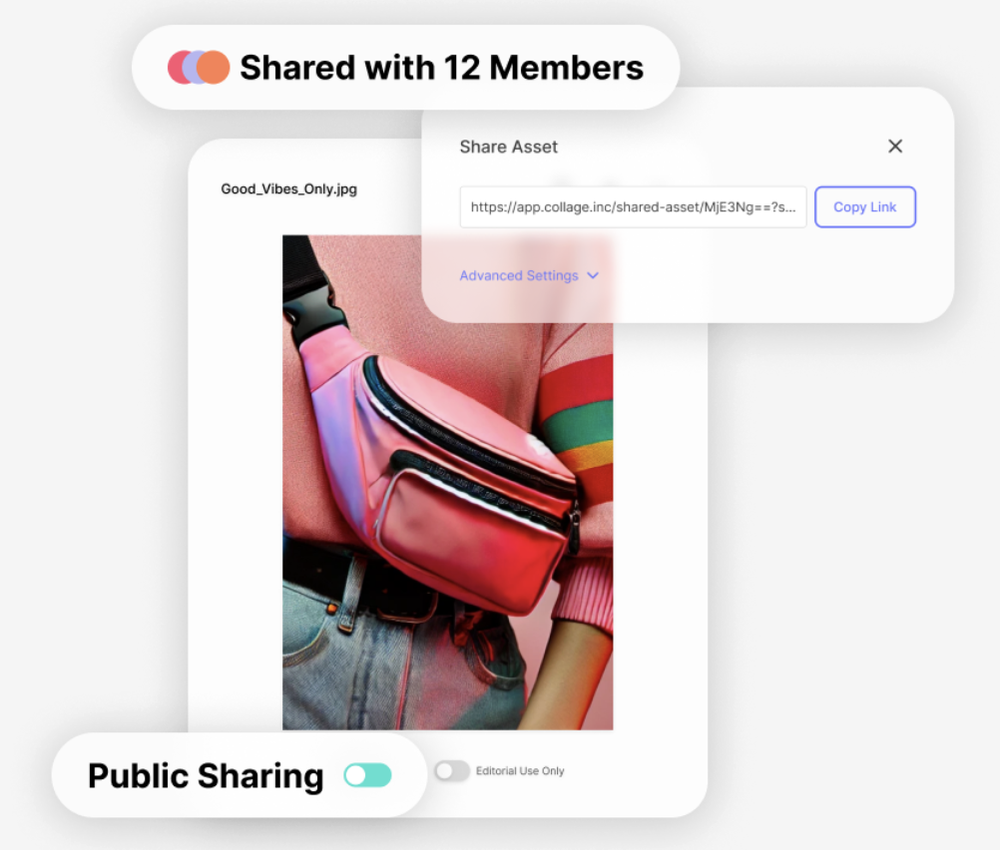 Collage Screenshot 1