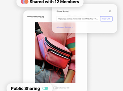 Collage Screenshot 1