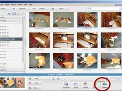 The new button in the picasa window