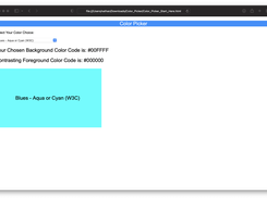 Color Picker Tool With Contrast Details Screenshot 1