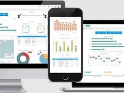 Comarch Business Intelligence Screenshot 2