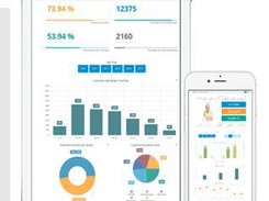 Comarch Business Intelligence Screenshot 1