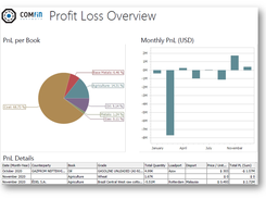 Dashboard - PnL Overview sample