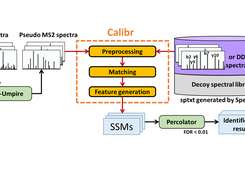 Workflow of spectrum-centric analysis using Calibr