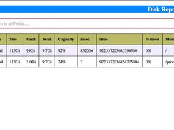 Disk Report
