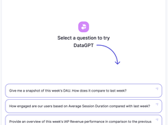 DataGPT Screenshot 1