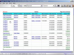 Integrated reporting - Drill-Down(detail) Drill-Across(used)