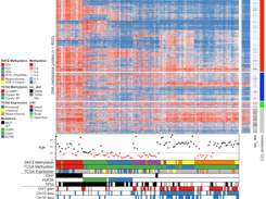ComplexHeatmap Screenshot 1