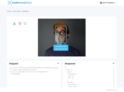 Face detection service test page