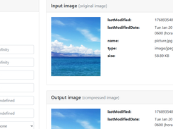 Compressor.js Screenshot 1