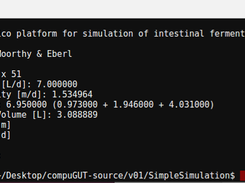 Example execution of a single simulation