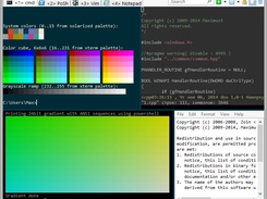 xterm-256, vim and notepad