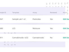 Confident Cannabis Screenshot 5