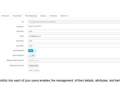 Conic Security Screenshot 2