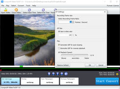 Conpsoft VideoToGIF Screenshot 2