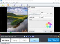 Conpsoft VideoToGIF Screenshot 3
