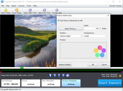 Conpsoft VideoToGIF Screenshot 1