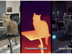 Consistent Depth Screenshot 1