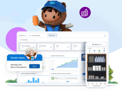 Salesforce Consumer Goods Cloud Screenshot 1