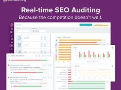 Real-time SEO Auditing. Because the competition doesn't wait.