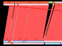 ACT-like PDF maps