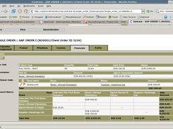 Single Order Financial Summary Screen