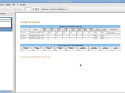 Informe PDF generado por la aplicación