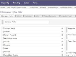 Cool Life CRM - Companies View Editor