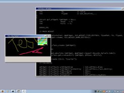 Edit window