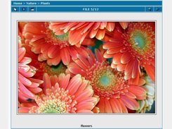 Frontend view: intermediate image