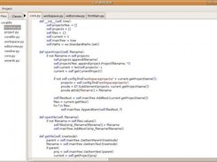 Coralillo IDE self hosting with many source files.