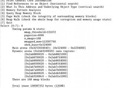 Fig1  Heap Scan (Linux/x_86_64)