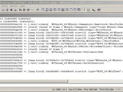 Fig5  Memory Pattern (Window 2003 - Windbg)