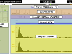 COV2HTML visualization.php web page. We divided the webpage into color boxes to separate each part. [Grey box] Analysis title and strand. [Orange box] information of Gene or IGR: gene ID or IGR ID; position; strand; type; product; coverage for each replicates; the mean value per condition; the ratio of conditions A/B. [Purple box] Navigation tools within genome. Current gene or IGR surround with link to the previous and next one. A Y-axis button to change coverage scale from 1-250 to 1-2500. [Blue box] Genetic elements in genomic view.  Gene in blue, rRNA and tRNA are in red. [Yellow box] Sample’s coverage: analysis condition and replicate genomic coverage views. One graphical bar (one pixel) represents a genomic base coverage. [Green box] Gene or IGR filters to analyse coverage data. At the top others tools : search for a position or a gene ID; activate help boxes; export all or filtered results in a comma-separated value file (Excel compatible). 