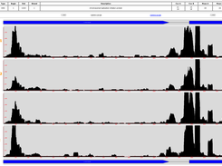 To demonstrate the relevance of COV2HTML, the program was tested with NGS data from a Campylobacter jejuni RNA-seq article, which presents a standard comparison of 2 experimental conditions (wild-type and mutant) with 2 replicates.