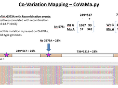 FHV Covariation Nanopore