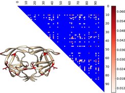 HIV Protease Co-Variation