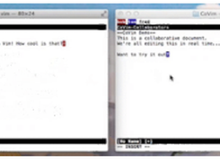 CoVim Screenshot 1