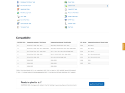 SSIS tasks