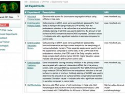 Experiment View