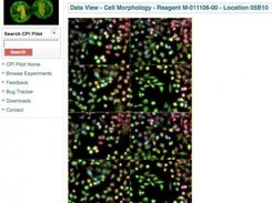 Data View