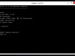 Running via serial console