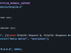cpp-httplib Screenshot 1