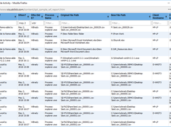 Workstation File Activity Report