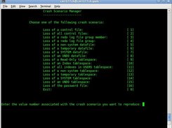 The menu items selection while running Crash Scenario Manager
