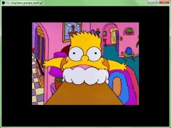 Animated Gif Supported