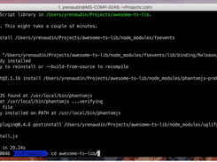 create-ts-lib Screenshot 1