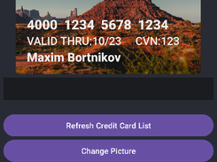 Credit Card Vault Screenshot 2